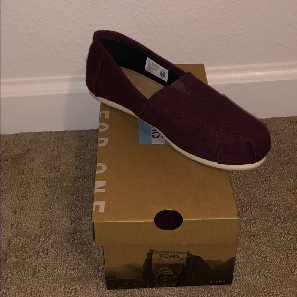TOMS
